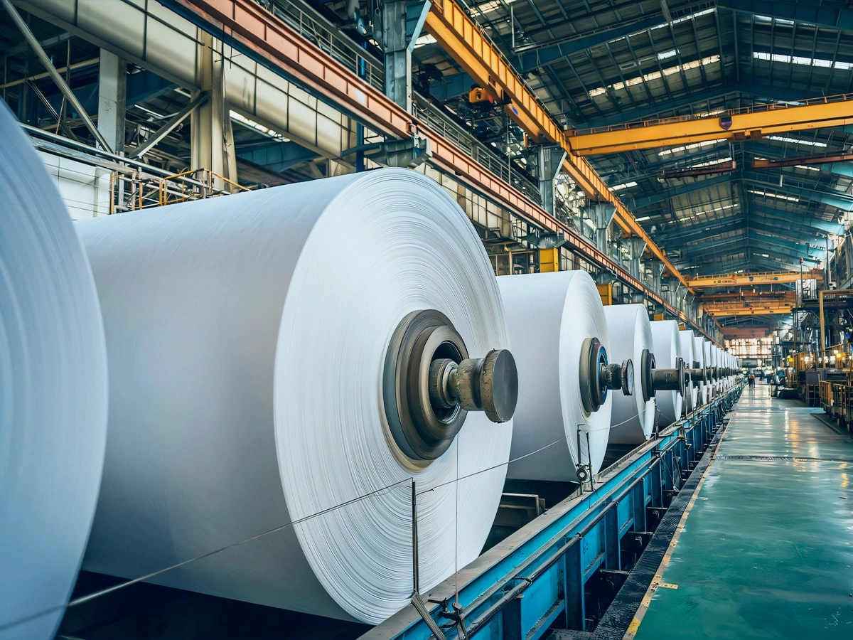 Papel e Papelão Papel e Papelão